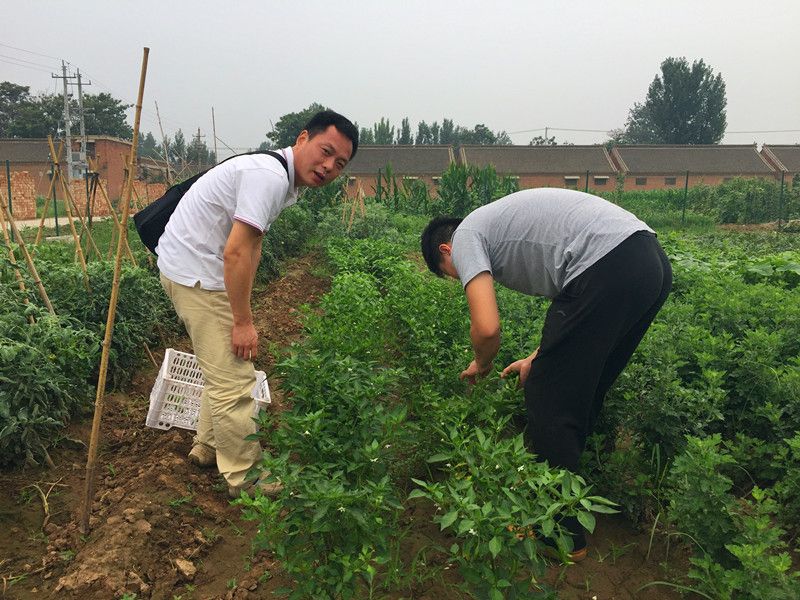 好利來郭總喊您來摘菜啦！綠色無公害，放心！