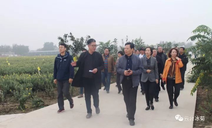 云臺冰菊基地發(fā)生了什么？一批批領(lǐng)導(dǎo)專家團(tuán)隊(duì)前來！